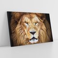 Obraz na płótnie 100x70 - Król zwierząt w majestatycznym stylu - lew, król