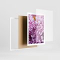 Plakat w ramie 50x70 - Fioletowy zawrót głowy - kwiat, różowy kwiat - rama biała