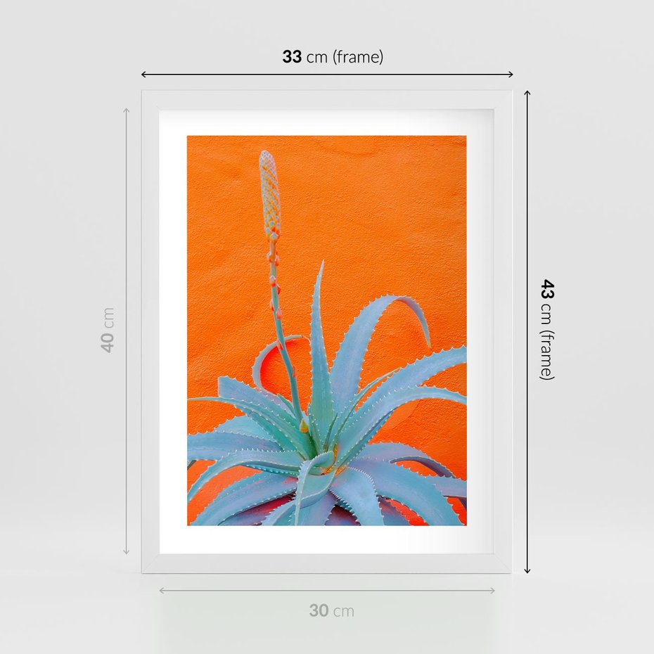 Plakat w ramie 30x40 - Naturalna Harmonia - kaktusy, liście - rama biała