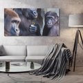 Obraz na płótnie 120x60 - Małpy w ich naturalnym środowisku - małpy, szympansy