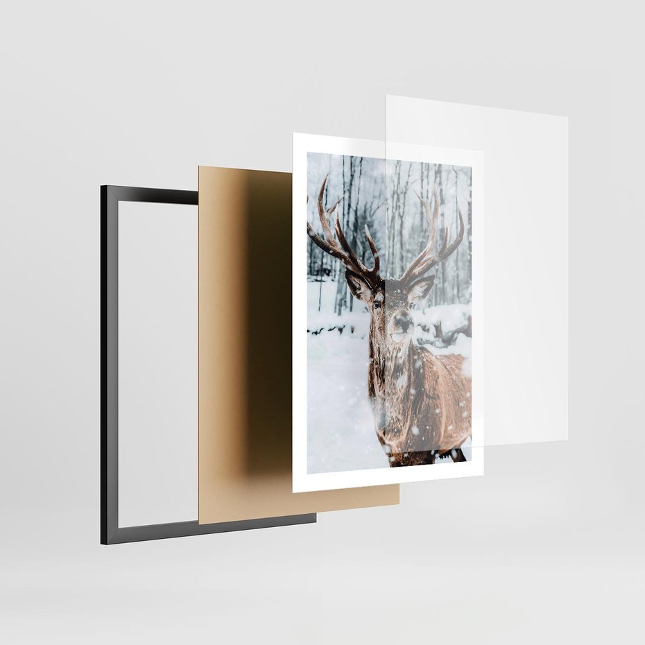 Plakat w ramie 50x70 - Jeleń na Zdjęciu pod Śniegiem - jeleń, zima - rama czarna