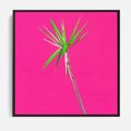 Obraz w ramie 50x50 - Retro Stylizacja - palma, liście - rama czarna