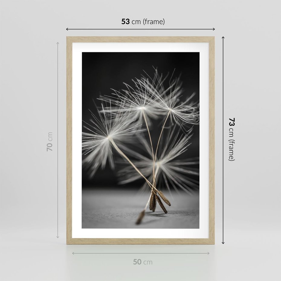 Plakat w ramie 50x70 - Delikatność dmuchawców zbliżenie - dmuchawce, zbliżenie - rama drewno