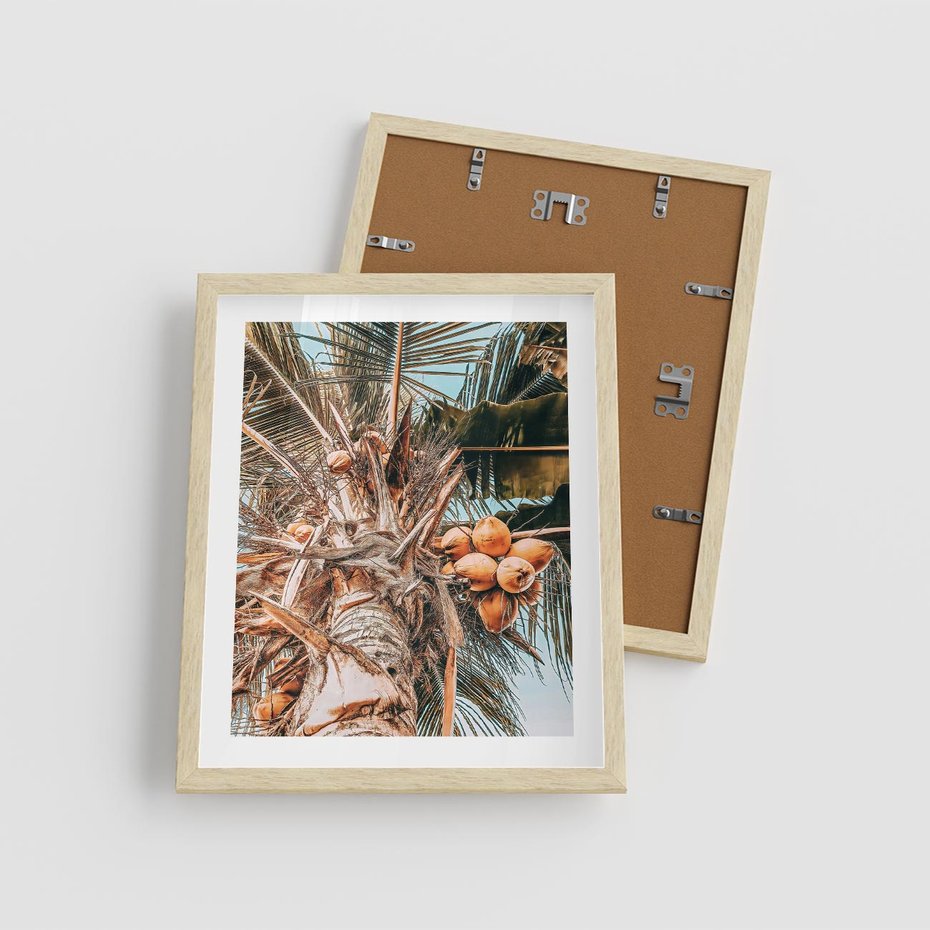 Plakat w ramie 40x50 - Tropikalna Palma: Fotografia z Kokosami - palma kokosowa, kokosy - rama drewno