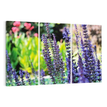 Obraz na płótnie 120x80 - Ogród Lawendowy - lawenda, kwiat