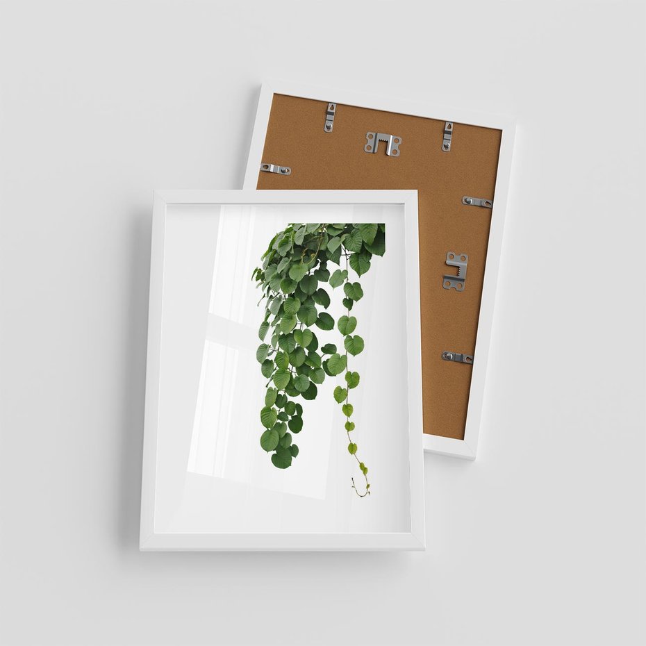 Plakat w ramie 30x40 - Świeżość Natury - liście, zielone - rama biała