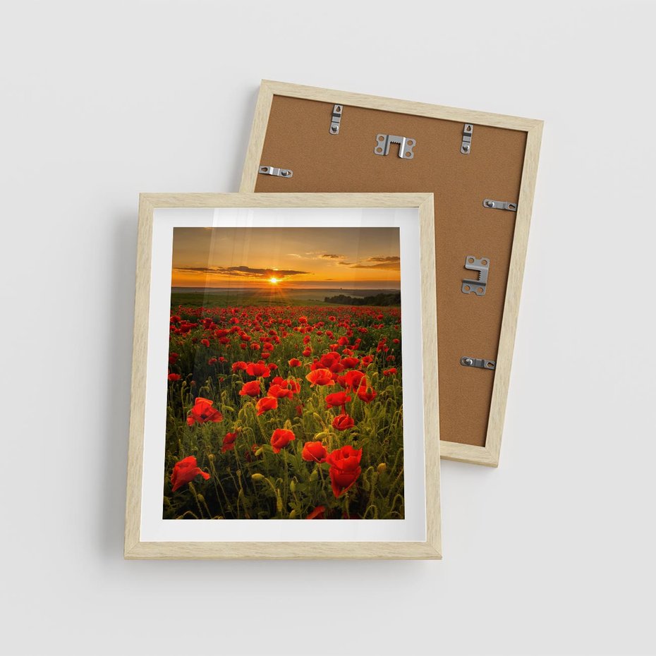 Plakat w ramie 40x50 - Maki przy zachodzie słońca - maki, zachód - rama drewno