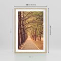Plakat w ramie 50x70 - Wędrówka między drzewami - droga, drzewa - rama drewno