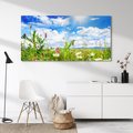 Obraz na płótnie 120x60 - Niebiańska łąka pełna kwiatów - łąka, niebo