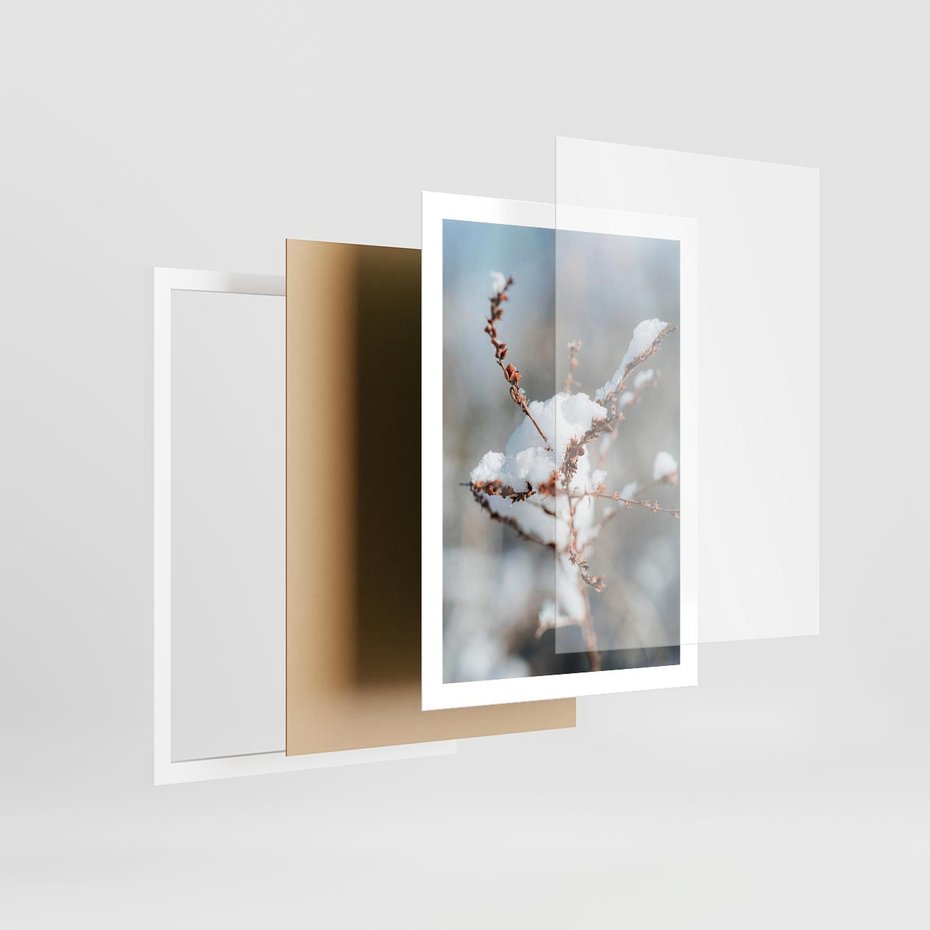 Plakat w ramie 50x70 - Zimowy Urok Natury - gałązki pod śniegiem, natura - rama biała