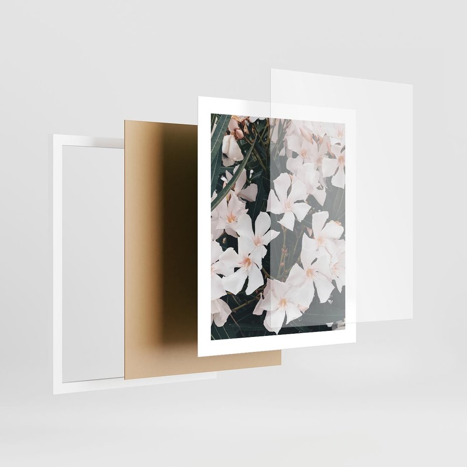 Plakat w ramie 40x50 - Egzotyczna Uroda - białe kwiaty, tropikalne kwiaty - rama biała
