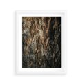 Plakat w ramie 40x50 - Tekstura Drewna: Zbliżenie - zbliżenie na pień drzewa, tekstura - rama biała