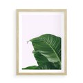 Plakat w ramie 50x70 - Zielone liście monstery - liście, monstera - rama drewno