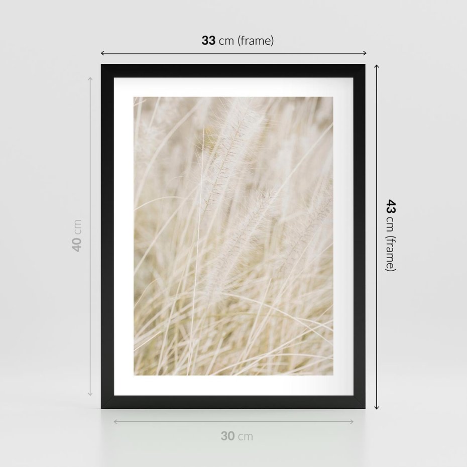Plakat w ramie 30x40 - Białe Trawy Pampas - suche trawy, białe trawy - rama czarna