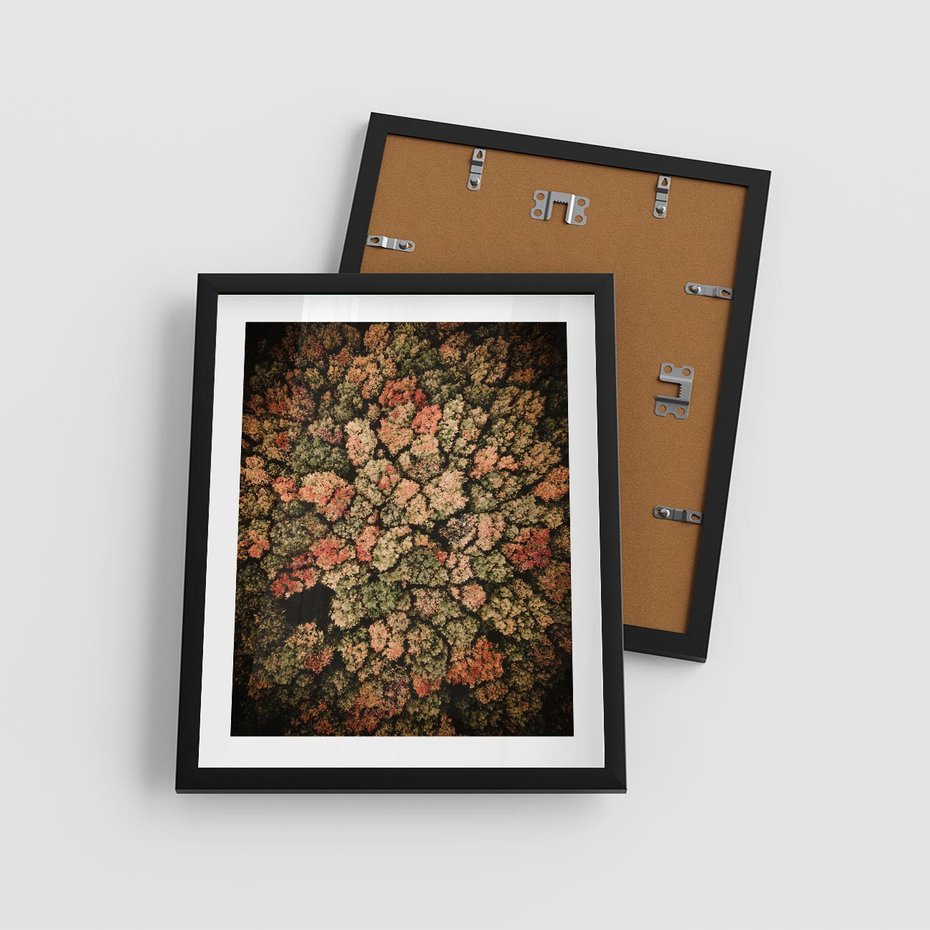 Plakat w ramie 40x50 - Jesień z Lotu Ptaka: Malowniczy Las - las jesienią z lotu ptaka - rama czarna