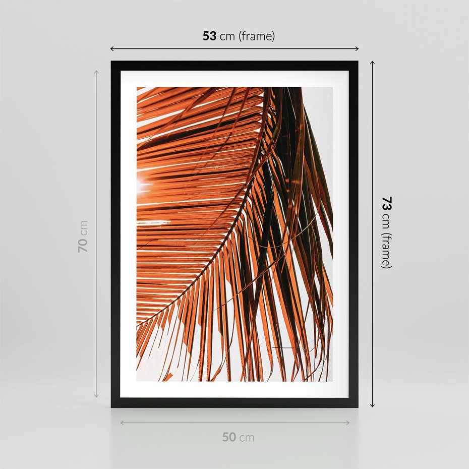 Plakat w ramie 50x70 - Słońce na Palmie - palma, promienie słońca - rama czarna