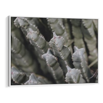 Obraz w ramie 120x80 - Boho kaktusy na pustyni - kaktusy, pustynia - rama biała