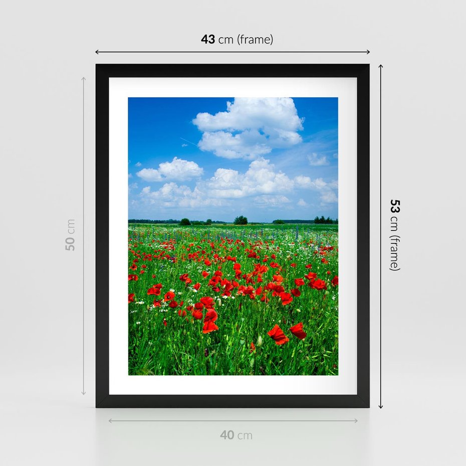 Plakat w ramie 40x50 - Kolorowa łąka pełna maku - łąka, maki - rama czarna