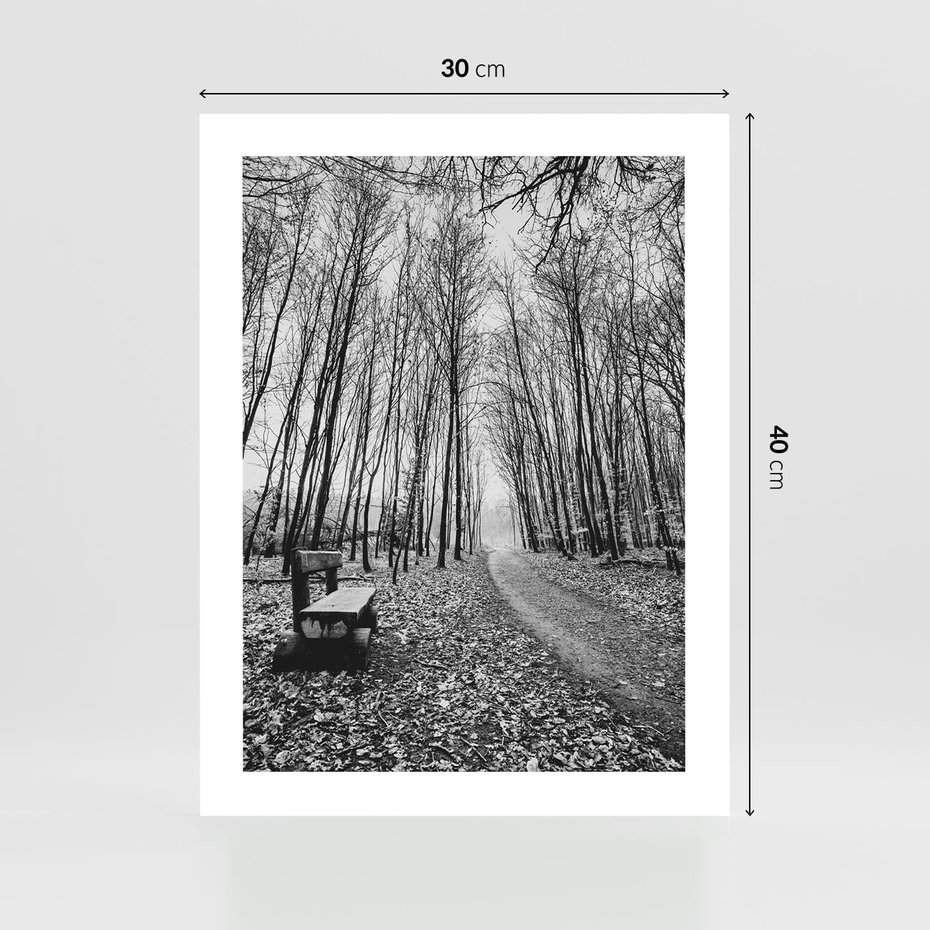 Plakat bez ramy 30x40 - Spadające Liście - czarno białe zdjecie, park