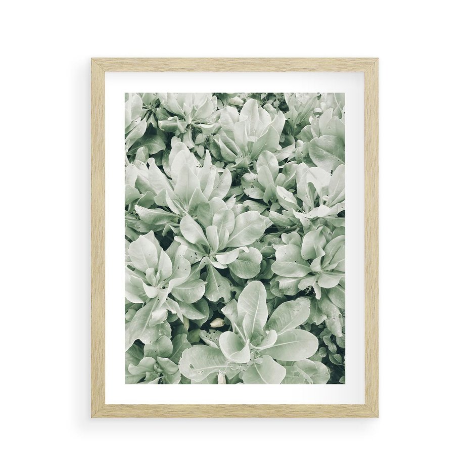 Plakat w ramie 40x50 - Liście w Jasnych Odcieniach Zielonego - liście, jasna zieleń fotografia - rama drewno