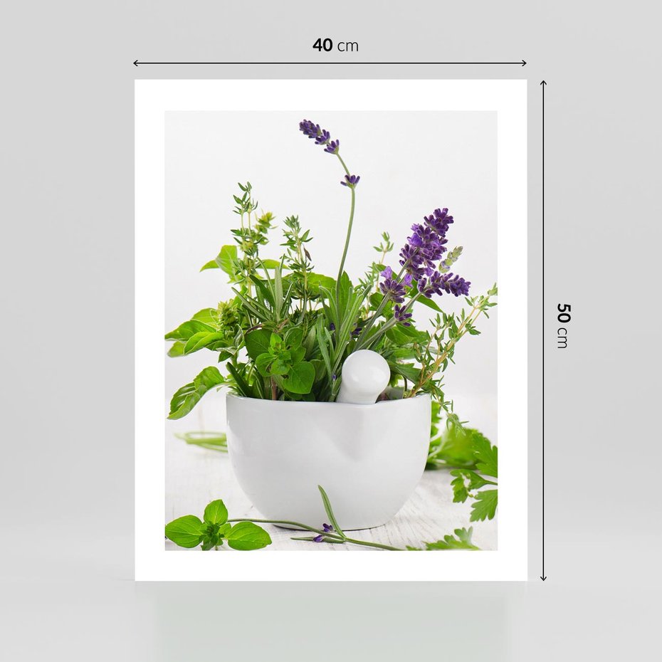 Plakat bez ramy 40x50 - Kwiaty i zioła w restauracji - kwiaty, zioła