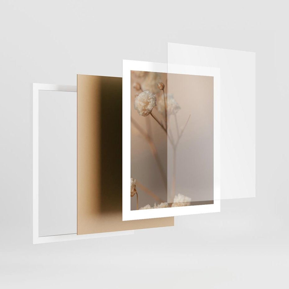 Plakat w ramie 40x50 - Subtelna gipsówka - gipsówka, suche - rama biała
