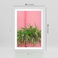 Plakat w ramie 50x70 - Fotografia Rośliny z Różowym Tłem - fotografia, zielona roślina na tle różwj ściany - rama biała