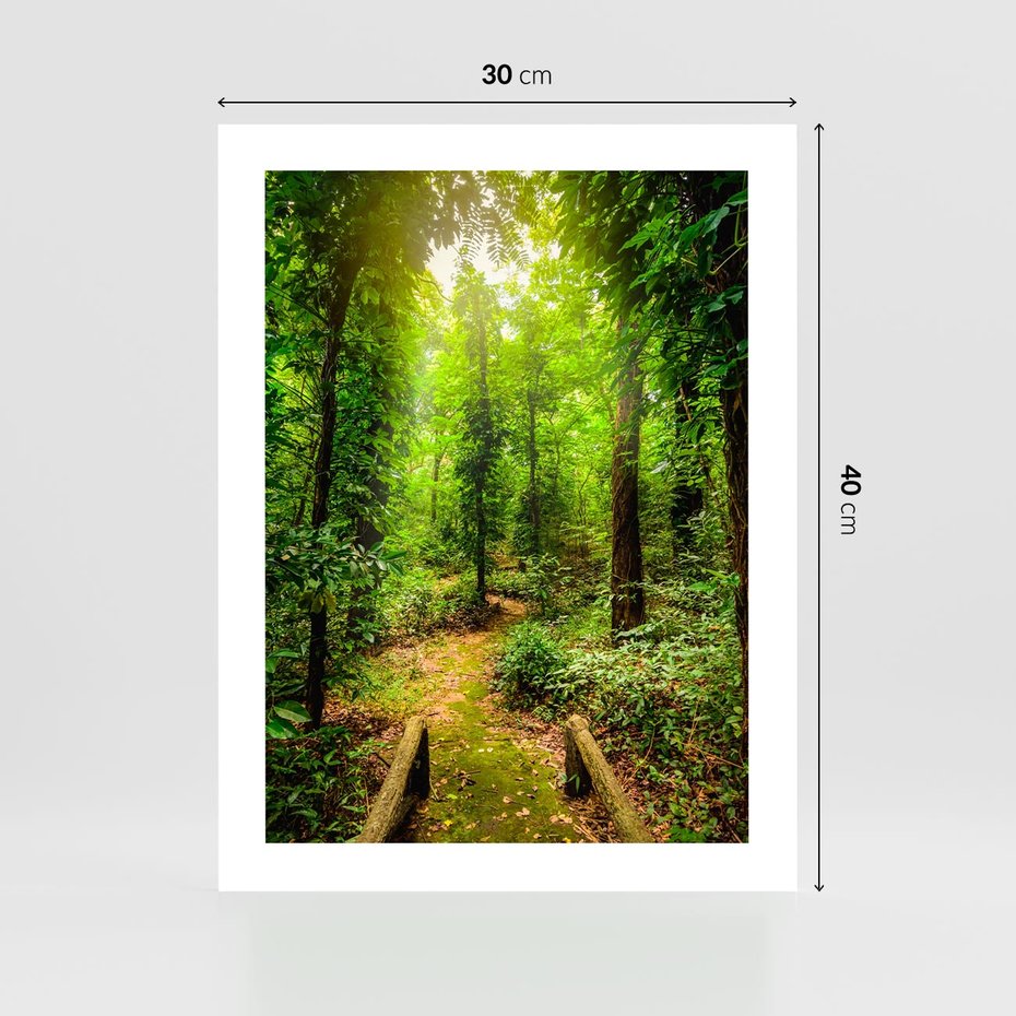 Plakat bez ramy 30x40 - Współistnienie z naturą - drzewa, las