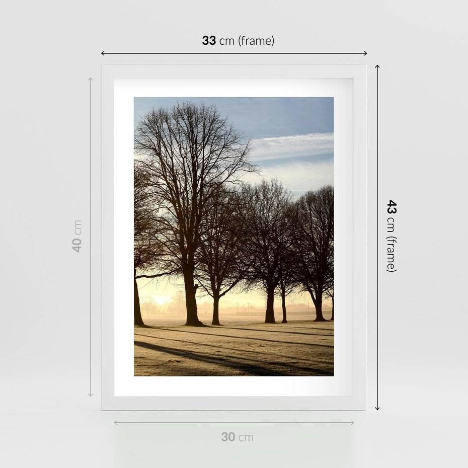 Plakat w ramie 30x40 - Siła natury - drzewa, pole - rama biała