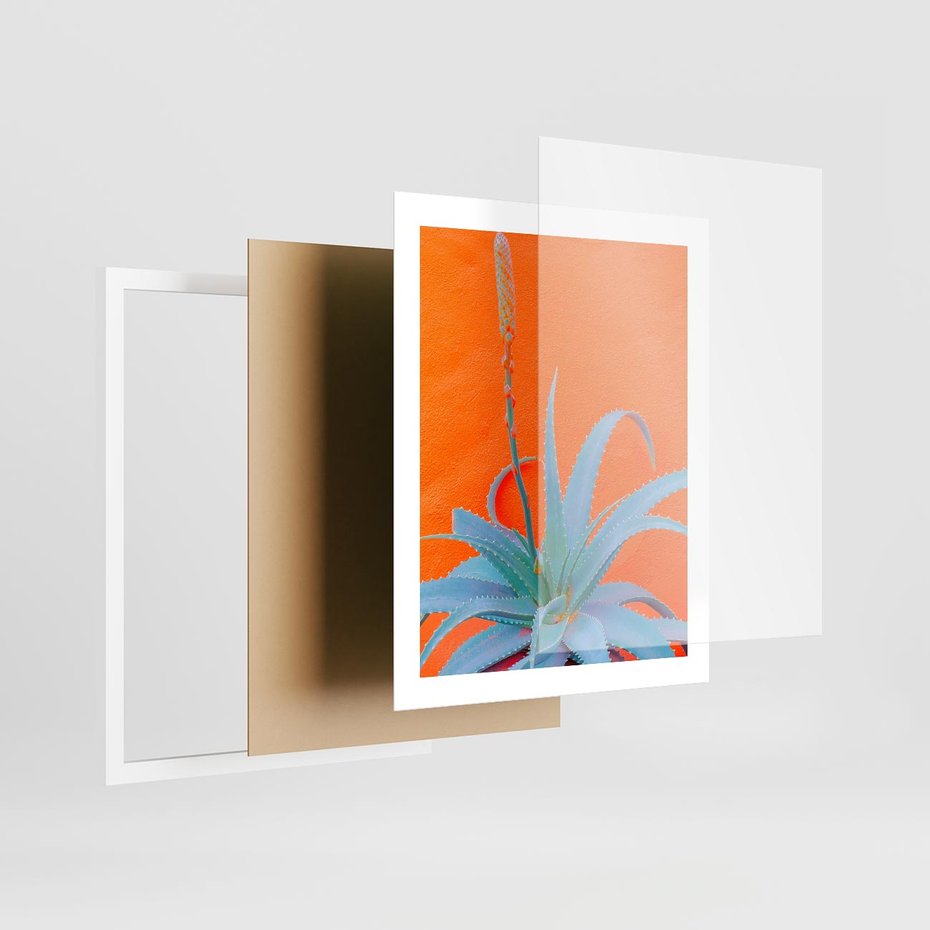 Plakat w ramie 40x50 - Naturalna Harmonia - kaktusy, liście - rama biała