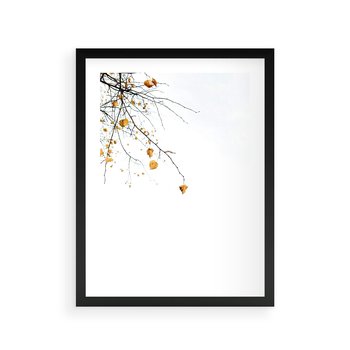 Plakat w ramie 50x70 - Złota Jesień - drzewo, żółte liście - rama czarna