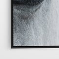 Obraz w ramie 70x100 - Oko Mocy - czarno białe zdjęcie, zbliżenie makro na oko konia - rama czarna