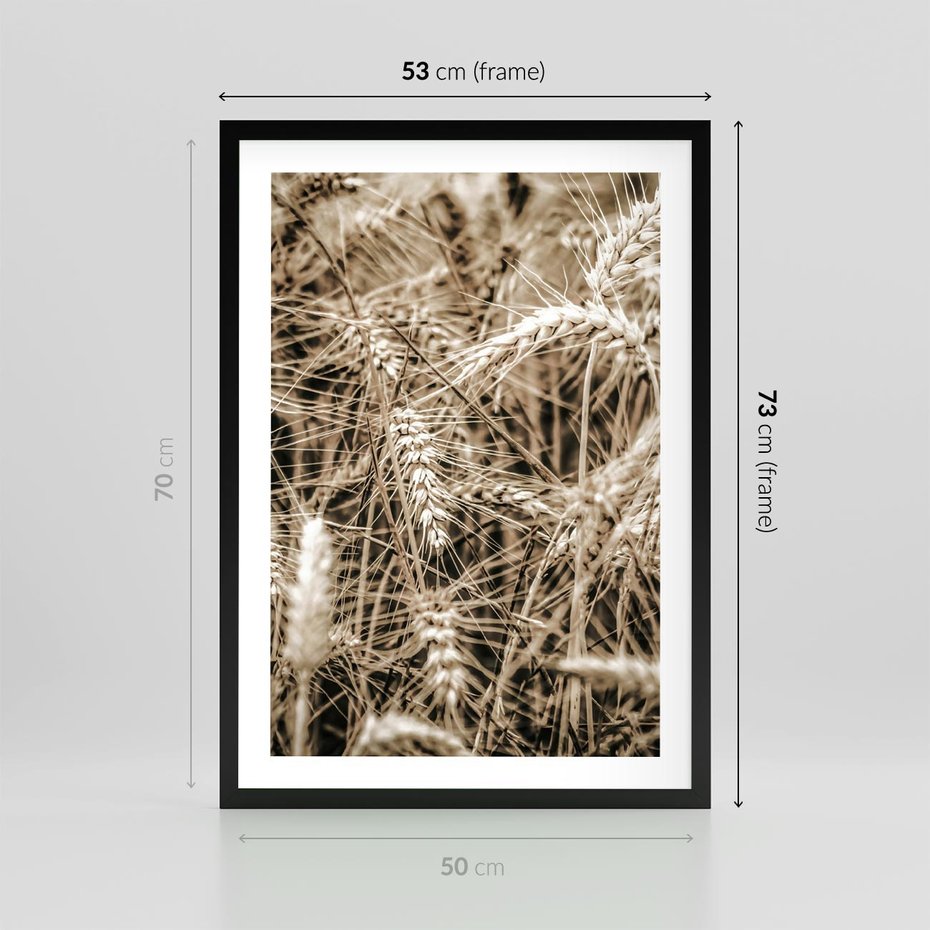Plakat w ramie 50x70 - Zbliżenie na Kłosy Zboża - zboża, kłosy zboża - rama czarna