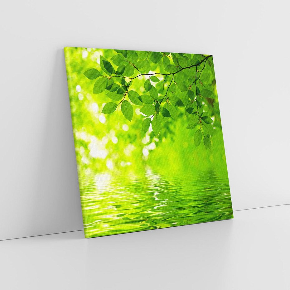 Obraz na płótnie 60x60 - Liście w Wodzie - liście, woda