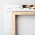 Obraz na płótnie 30x30 - Kot w Dziurze - kot, dziura