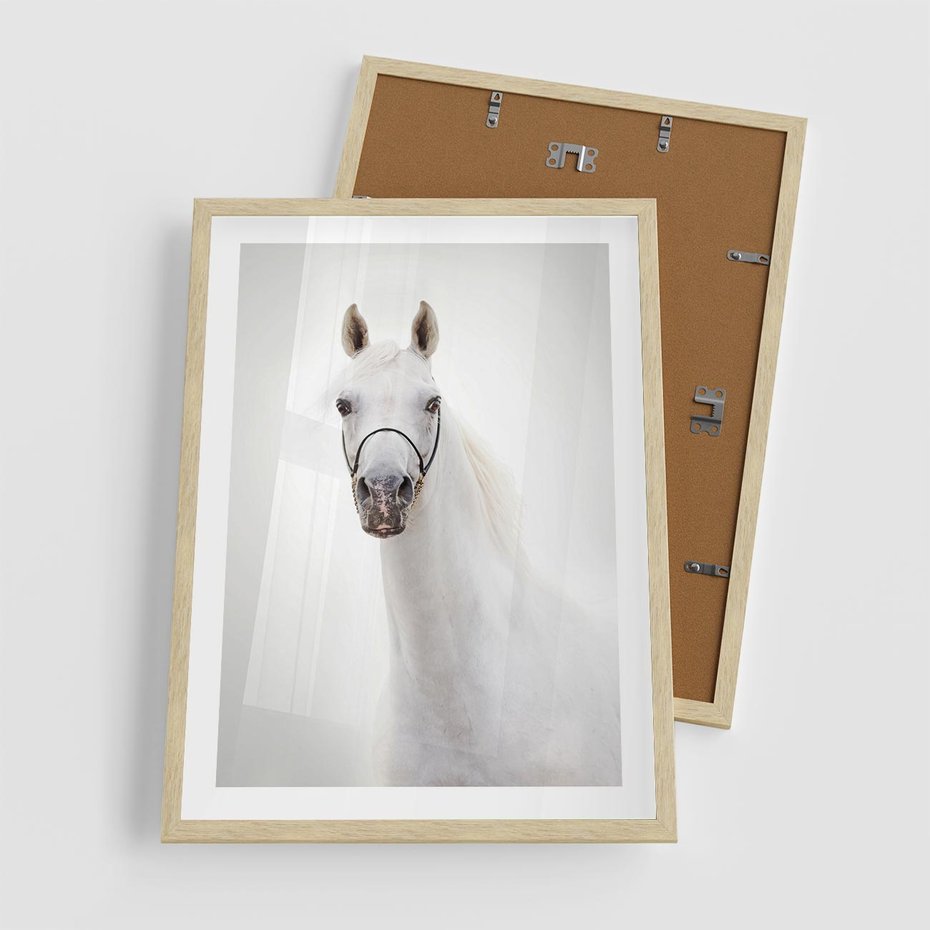 Plakat w ramie 50x70 - Elegancja białego konia - biały, koń - rama drewno