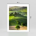 Plakat bez ramy 40x50 - Prowansja: malownicze winnice w kraju Włoch - Prowansja, Włochy