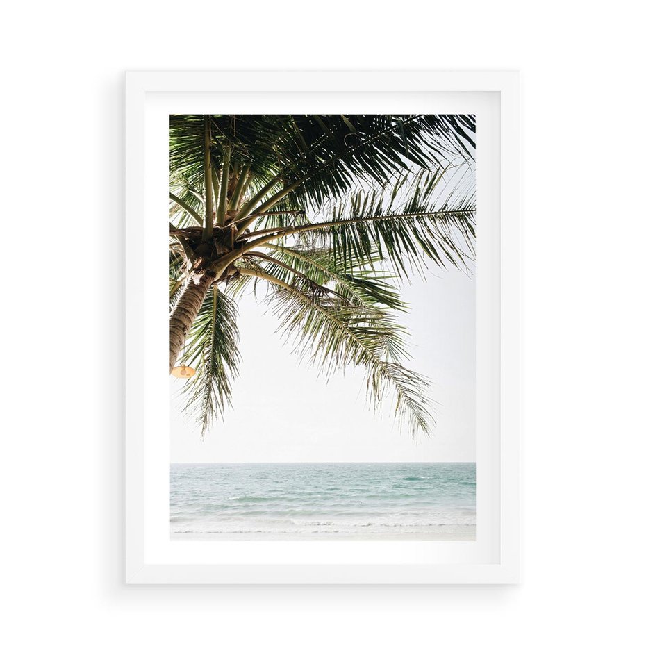 Plakat w ramie 50x70 - Wakacyjne Marzenie - palma nad morzem,  - rama biała