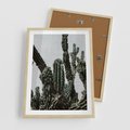 Plakat w ramie 50x70 - Boho oaza wśród kaktusów - kaktusy, pustynia - rama drewno