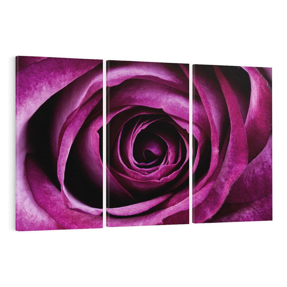 Obraz na płótnie 120x80 - piękno w delikatności - róża, kwiat