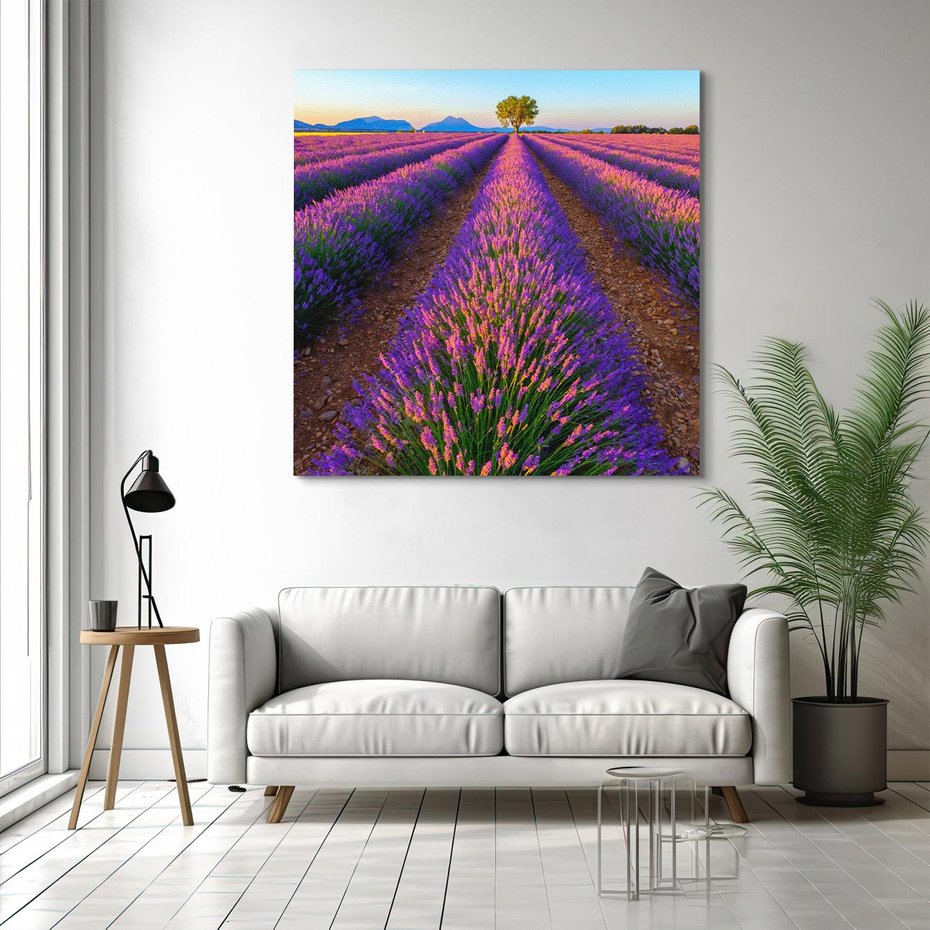 Obraz na płótnie 40x40 - Fioletowa Magia - pole, lawendy