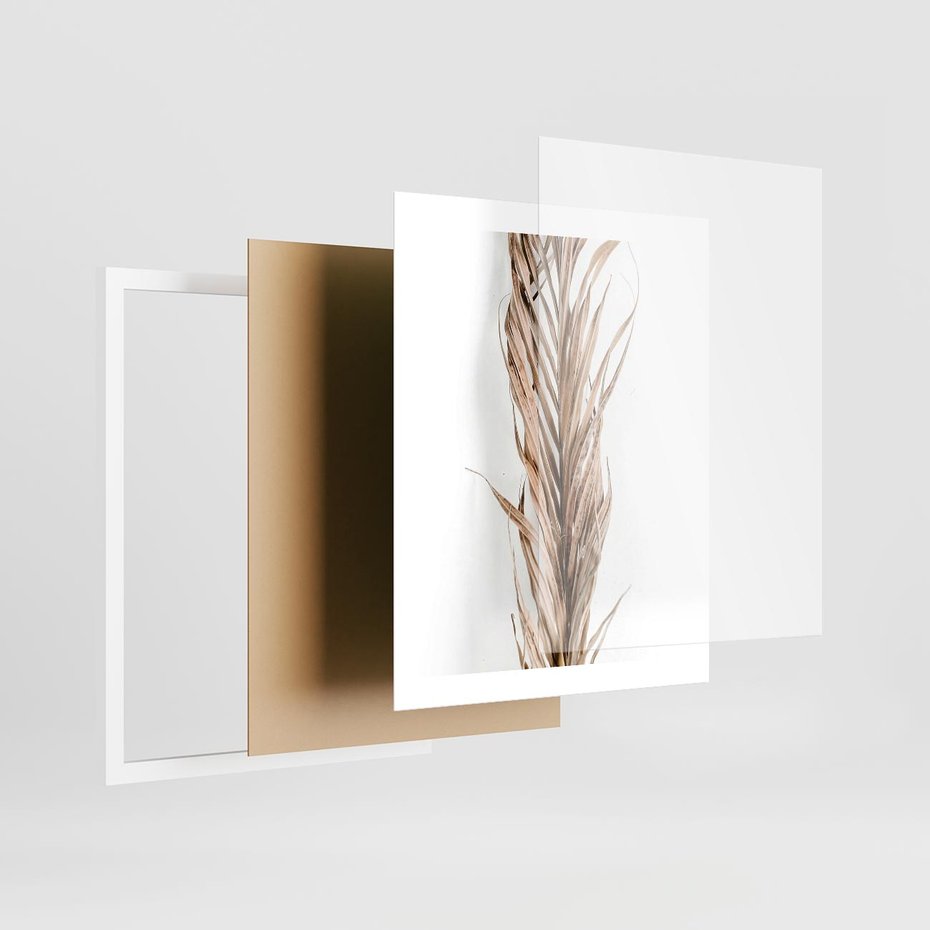 Plakat w ramie 40x50 - Minimalizm Palmowy: Sucha Uroda - sucha palma, minimalizm - rama biała