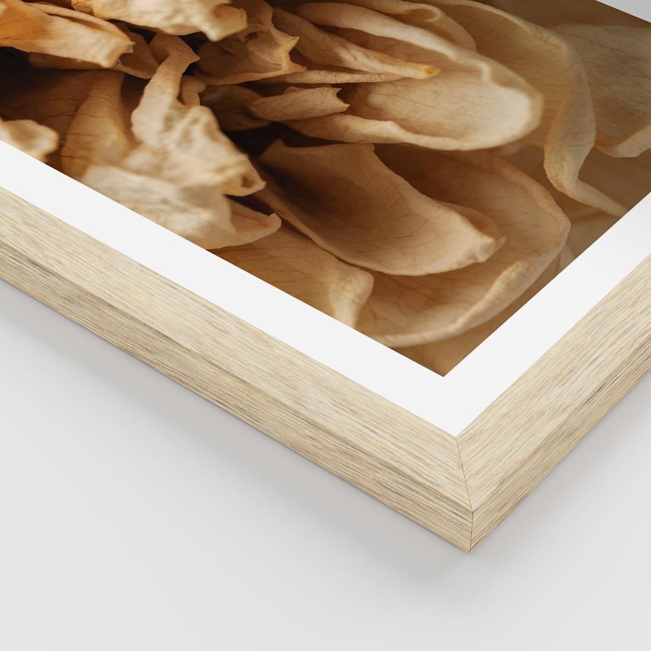 Plakat w ramie 30x40 - Zjawiskowe zasuszone kwiaty - zasuszone, kwiaty - rama drewno