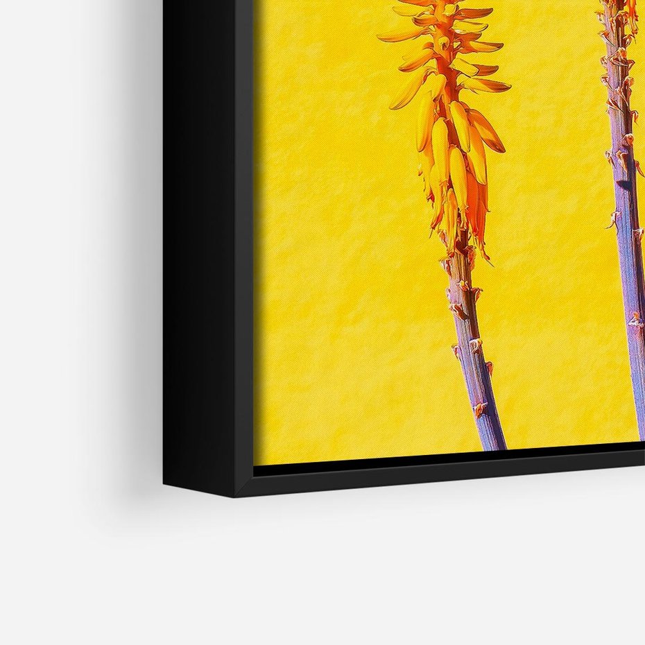 Obraz w ramie 50x50 - Radość Natury - kolor, kwiaty - rama czarna