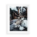 Plakat w ramie 50x70 - W Zimowej Krainie - renifer, zima - rama biała