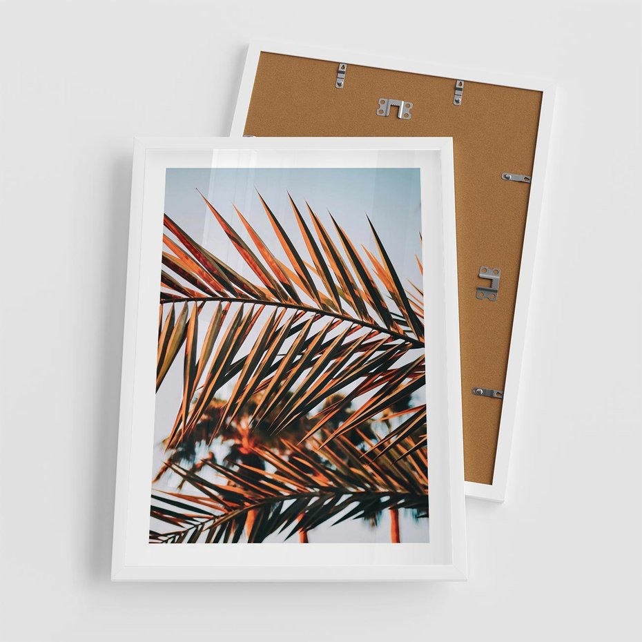 Plakat w ramie 50x70 - Tropikalna Harmonia - palma, liście palmy - rama biała