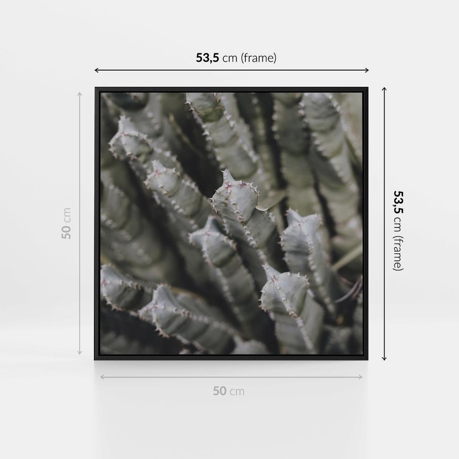 Obraz w ramie 50x50 - Boho kaktusy na pustyni - kaktusy, pustynia - rama czarna