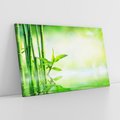 Obraz na płótnie 120x80 - Bambusowy relaks w SPA - bambus, SPA