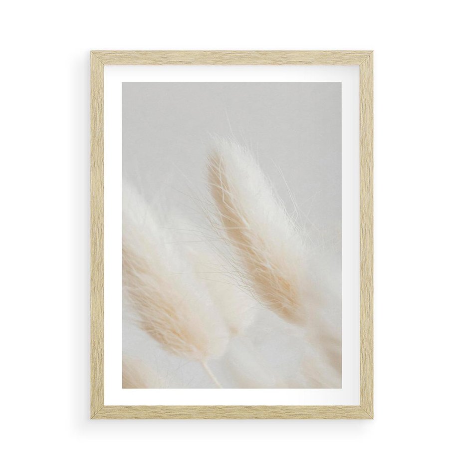 Plakat w ramie 50x70 - Czysty Minimalizm - białe trawy, minimalizm - rama drewno