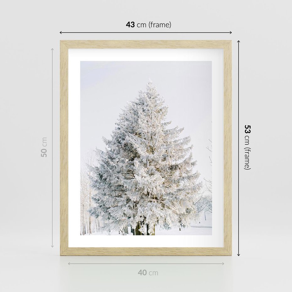 Plakat w ramie 40x50 - Zimowa Poezja w Ośnieżonym Drzewie - ośnieżone drzewo, zima - rama drewno